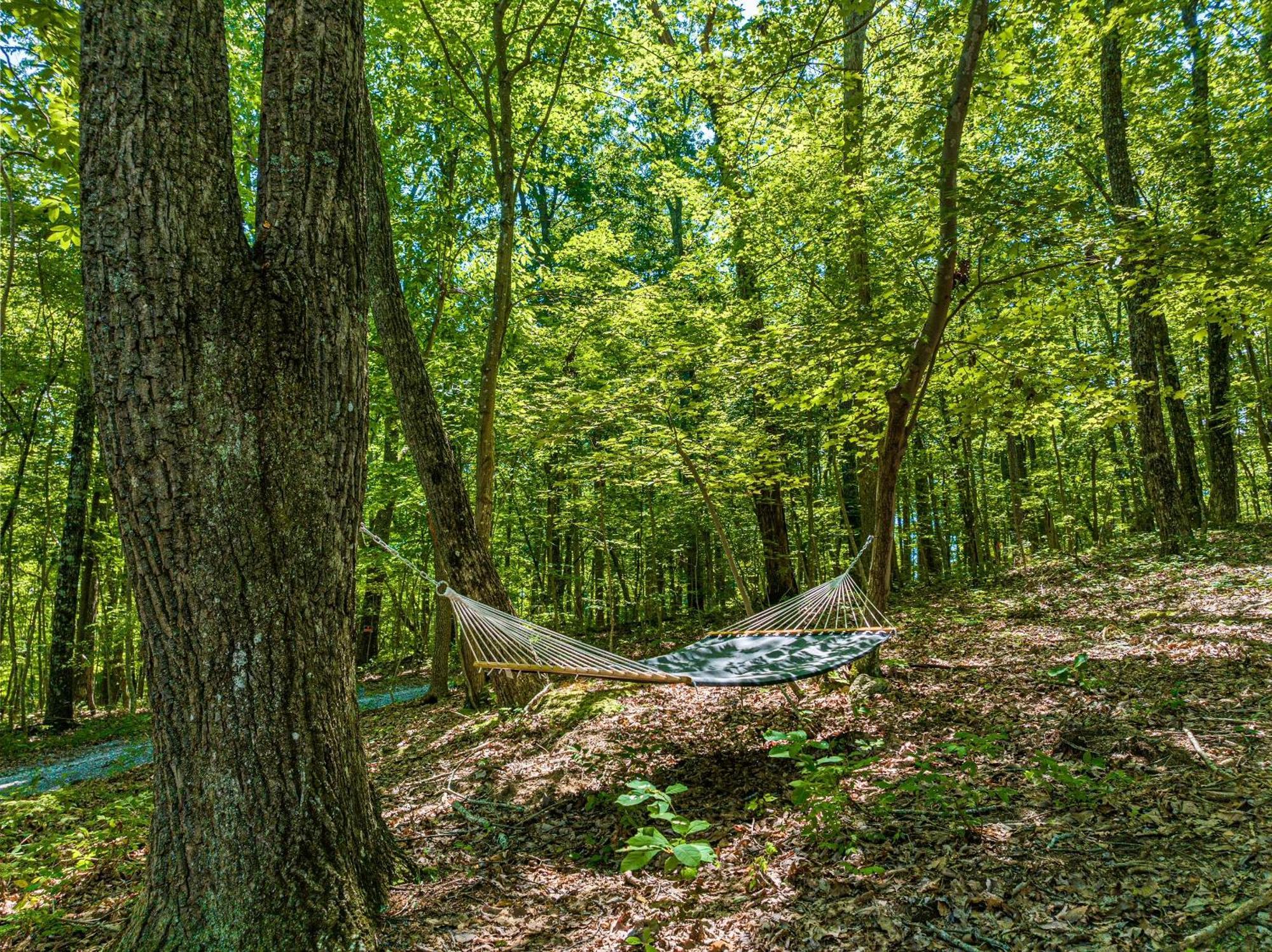 Coyote Cabin At Woodland Retreat At Desoto Beside Desoto State Park フォートペイン エクステリア 写真